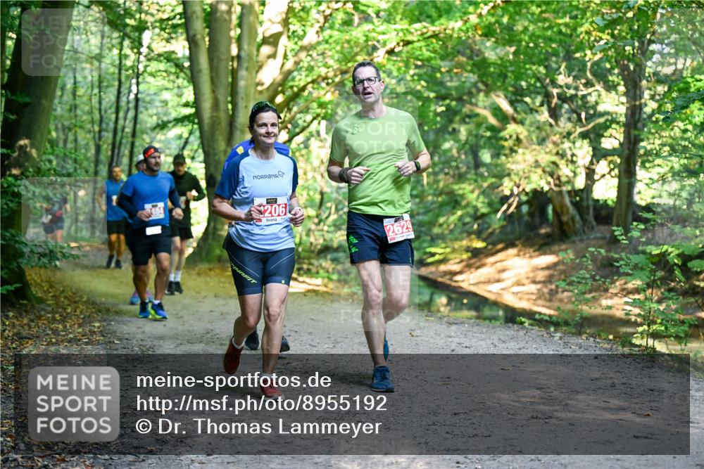 28.09.2025 - 33. Volkslauf durch das schöne Alstertal Dr. Thomas Lammeyer http://msf.ph/oto/8955192 28.09.2025 10:40:57 Laufen 484, 206, 2629 meine-sportfotos.de
