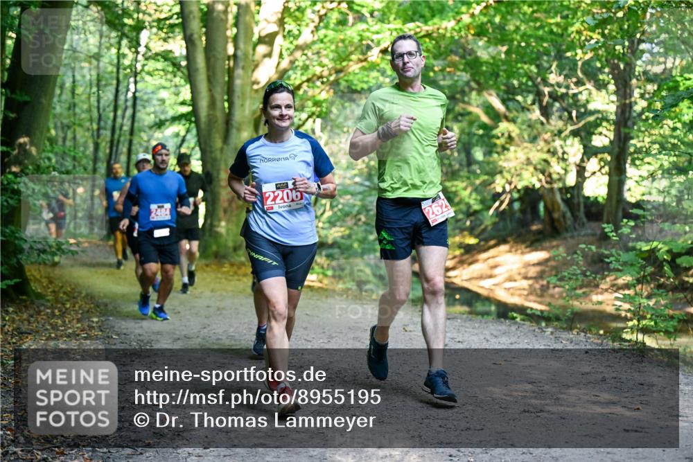 28.09.2025 - 33. Volkslauf durch das schöne Alstertal Dr. Thomas Lammeyer http://msf.ph/oto/8955195 28.09.2025 10:40:58 Laufen 2484, 2206, 2629 meine-sportfotos.de