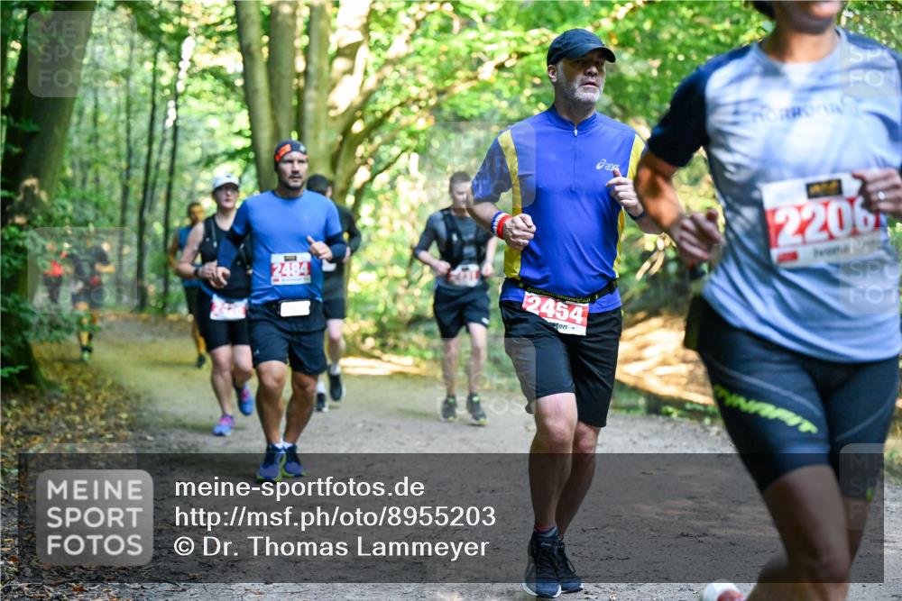 28.09.2025 - 33. Volkslauf durch das schöne Alstertal Dr. Thomas Lammeyer http://msf.ph/oto/8955203 28.09.2025 10:40:59 Laufen 2484, 2454, 2206 meine-sportfotos.de