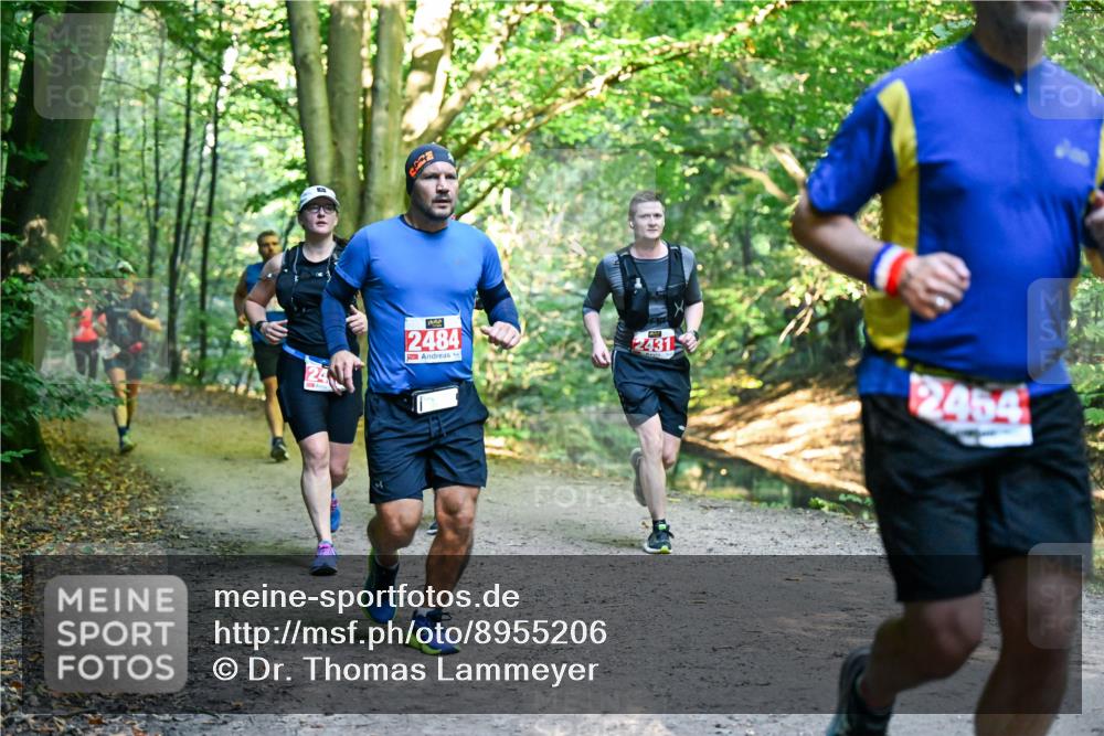 28.09.2025 - 33. Volkslauf durch das schöne Alstertal Dr. Thomas Lammeyer http://msf.ph/oto/8955206 28.09.2025 10:41:00 Laufen 2484, 2431, 2454 meine-sportfotos.de