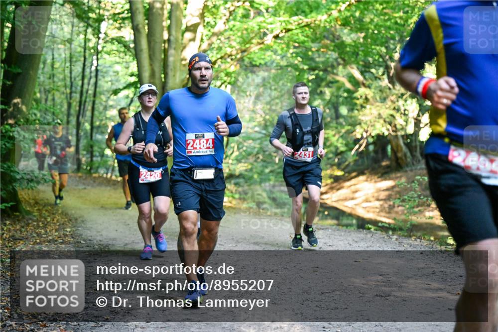 28.09.2025 - 33. Volkslauf durch das schöne Alstertal Dr. Thomas Lammeyer http://msf.ph/oto/8955207 28.09.2025 10:41:00 Laufen 2484, 2431, 2454 meine-sportfotos.de