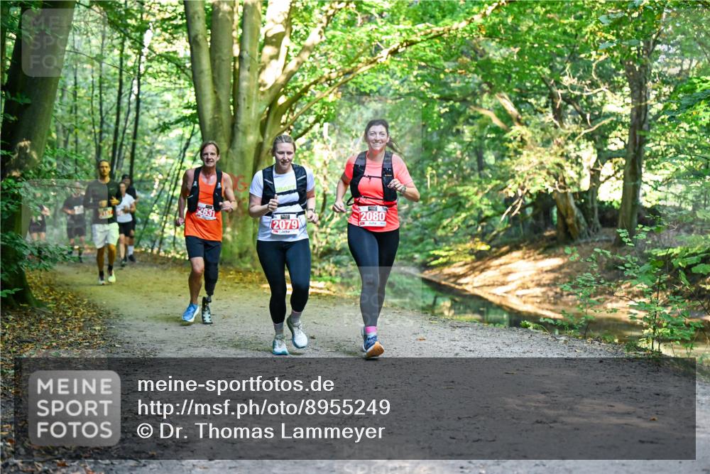 28.09.2025 - 33. Volkslauf durch das schöne Alstertal Dr. Thomas Lammeyer http://msf.ph/oto/8955249 28.09.2025 10:41:08 Laufen 2631, 2079, 2080 meine-sportfotos.de