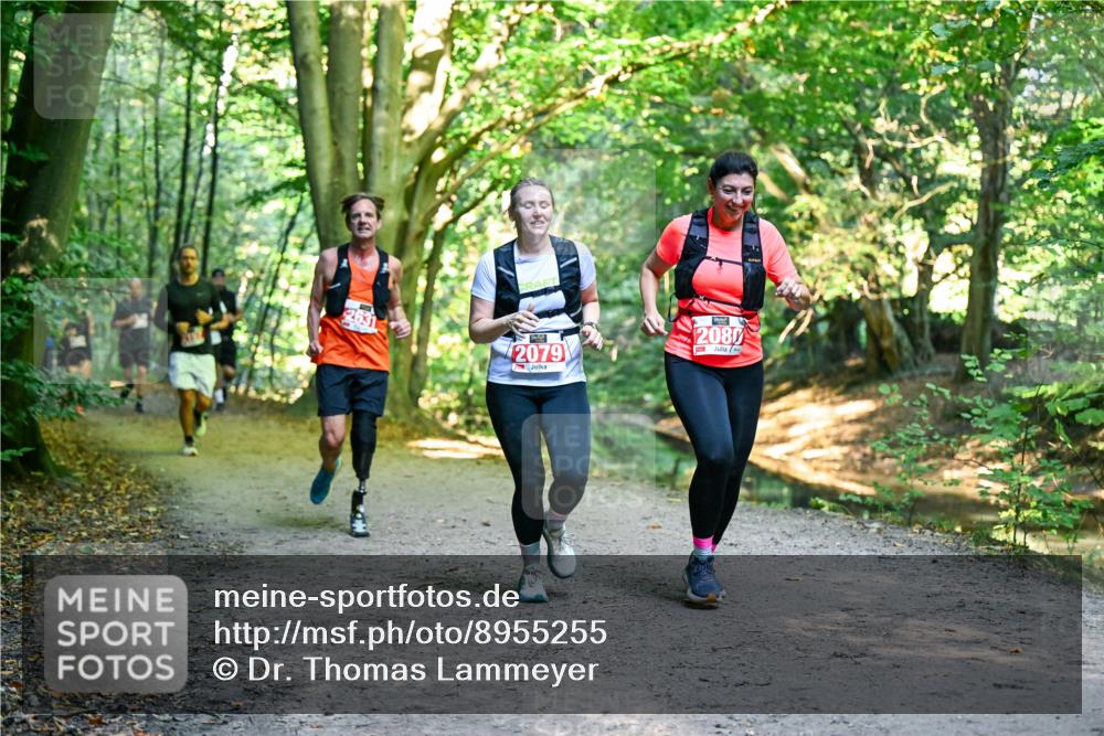 28.09.2025 - 33. Volkslauf durch das schöne Alstertal Dr. Thomas Lammeyer http://msf.ph/oto/8955255 28.09.2025 10:41:08 Laufen 2631, 2079, 2080 meine-sportfotos.de