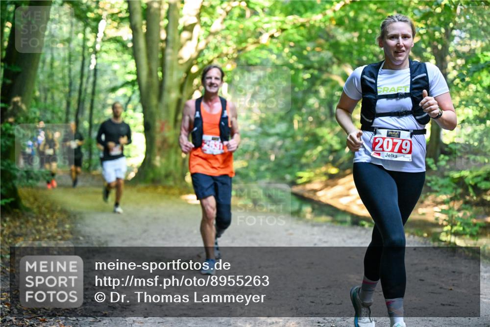 28.09.2025 - 33. Volkslauf durch das schöne Alstertal Dr. Thomas Lammeyer http://msf.ph/oto/8955263 28.09.2025 10:41:09 Laufen 831, 2079 meine-sportfotos.de