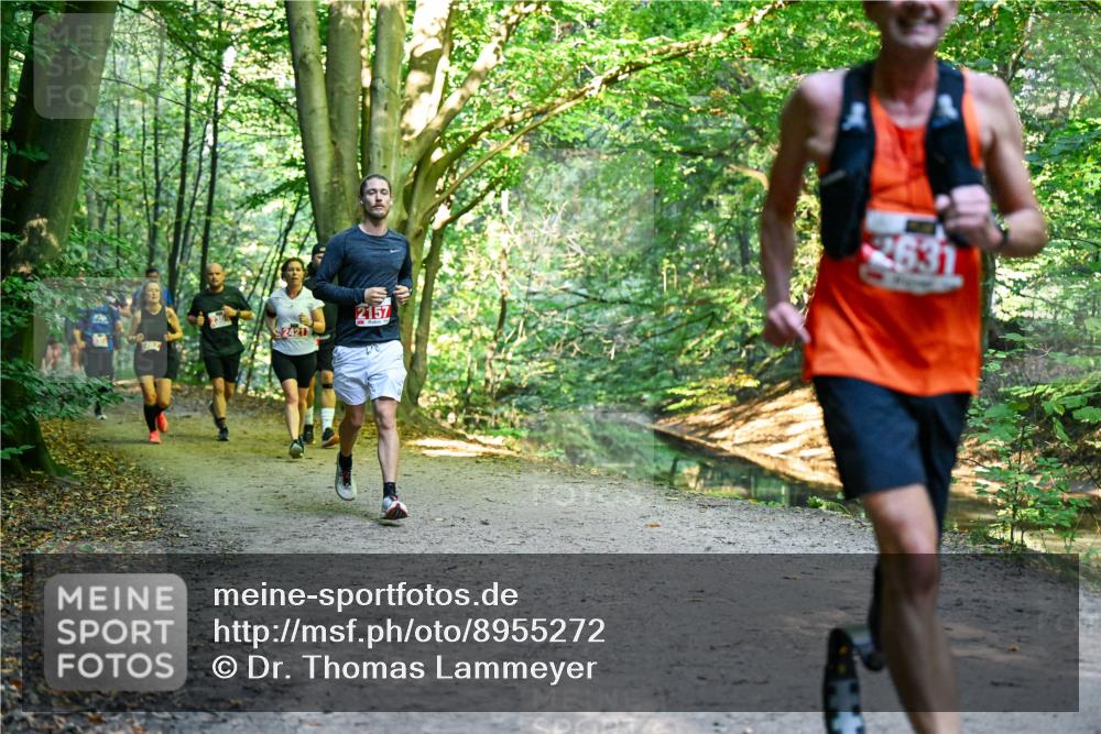 28.09.2025 - 33. Volkslauf durch das schöne Alstertal Dr. Thomas Lammeyer http://msf.ph/oto/8955272 28.09.2025 10:41:11 Laufen 2421, 2157, 2631 meine-sportfotos.de