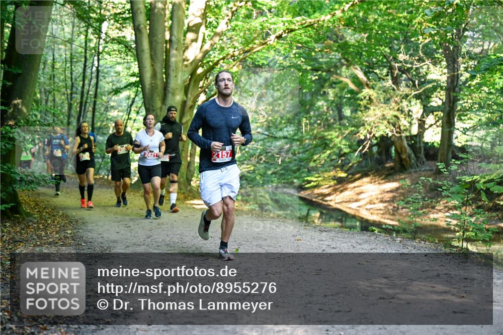 28.09.2025 - 33. Volkslauf durch das schöne Alstertal Dr. Thomas Lammeyer http://msf.ph/oto/8955276 28.09.2025 10:41:12 Laufen 2421, 95, 2157 meine-sportfotos.de