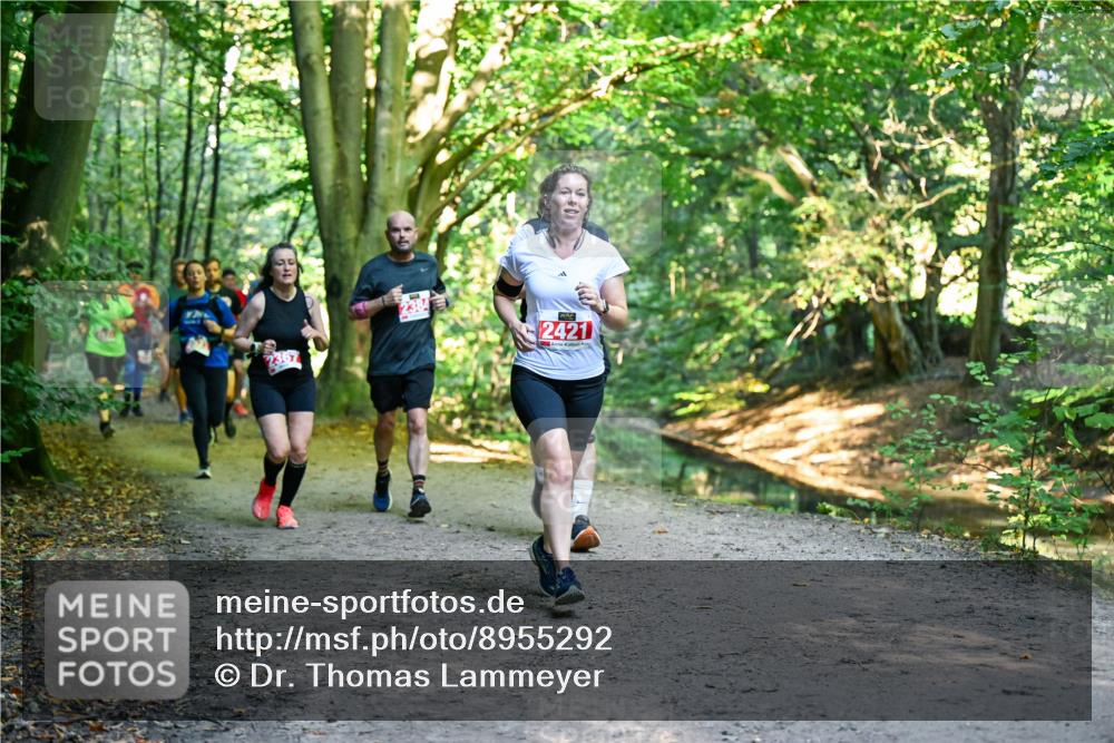 28.09.2025 - 33. Volkslauf durch das schöne Alstertal Dr. Thomas Lammeyer http://msf.ph/oto/8955292 28.09.2025 10:41:14 Laufen 2384, 2421 meine-sportfotos.de