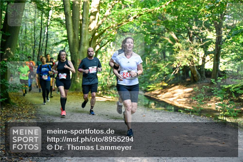 28.09.2025 - 33. Volkslauf durch das schöne Alstertal Dr. Thomas Lammeyer http://msf.ph/oto/8955294 28.09.2025 10:41:14 Laufen 239, 2367, 2384, 24 meine-sportfotos.de