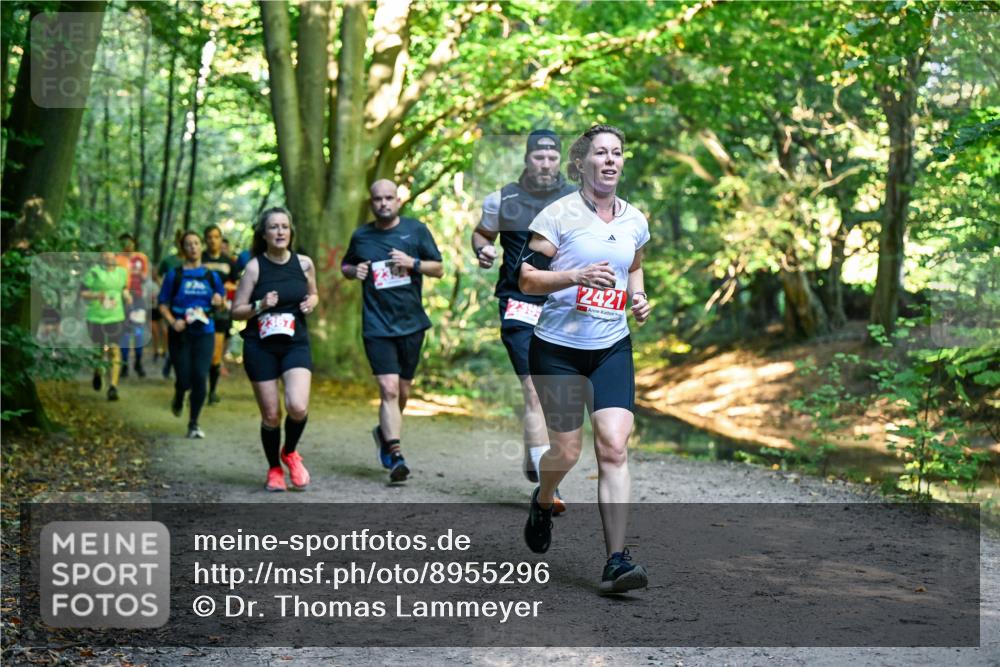 28.09.2025 - 33. Volkslauf durch das schöne Alstertal Dr. Thomas Lammeyer http://msf.ph/oto/8955296 28.09.2025 10:41:14 Laufen 2367, 2421 meine-sportfotos.de