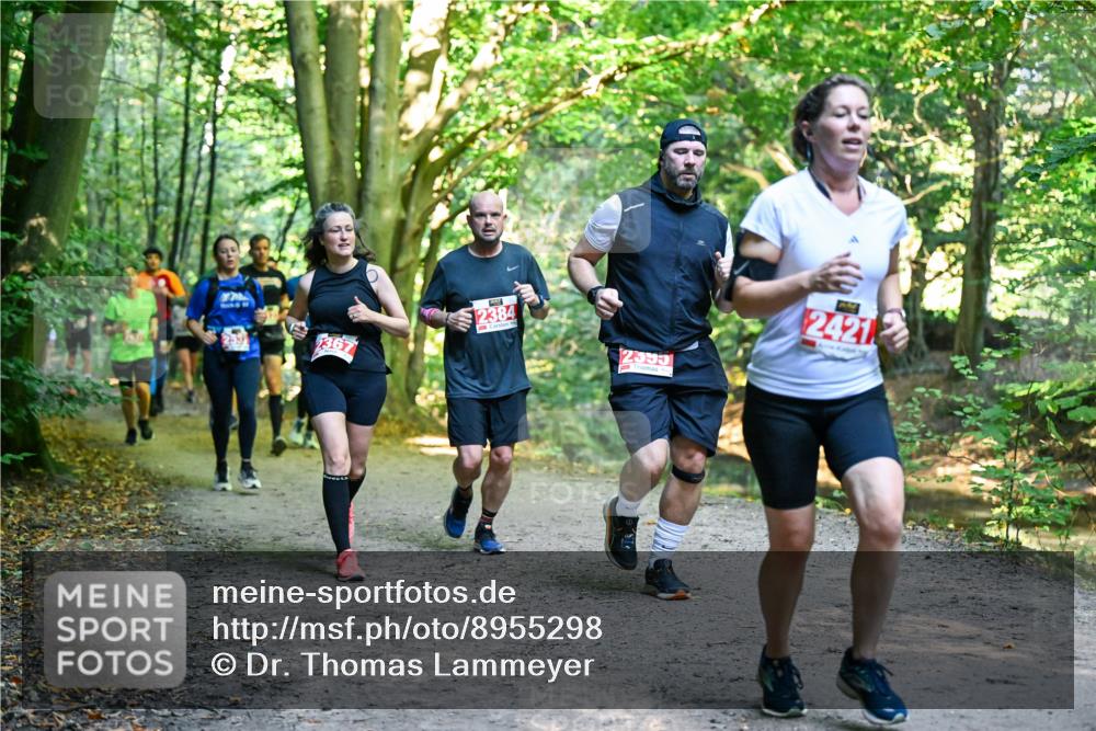 28.09.2025 - 33. Volkslauf durch das schöne Alstertal Dr. Thomas Lammeyer http://msf.ph/oto/8955298 28.09.2025 10:41:15 Laufen 367, 2384, 2395, 2421 meine-sportfotos.de