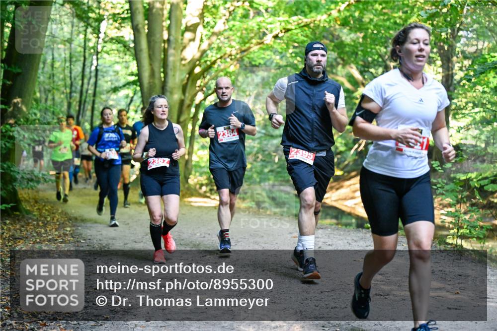 28.09.2025 - 33. Volkslauf durch das schöne Alstertal Dr. Thomas Lammeyer http://msf.ph/oto/8955300 28.09.2025 10:41:15 Laufen 2367, 2384, 2395 meine-sportfotos.de