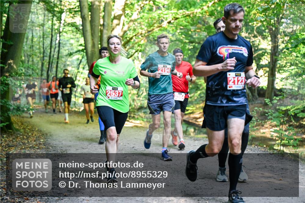 28.09.2025 - 33. Volkslauf durch das schöne Alstertal Dr. Thomas Lammeyer http://msf.ph/oto/8955329 28.09.2025 10:41:20 Laufen 2194, 2123, 2537 meine-sportfotos.de