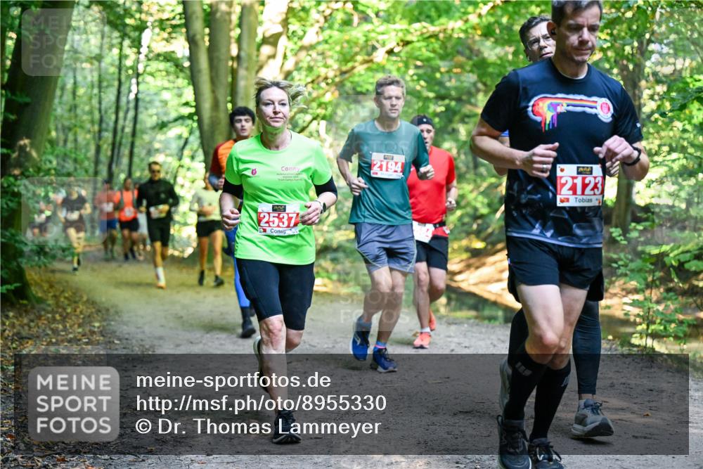 28.09.2025 - 33. Volkslauf durch das schöne Alstertal Dr. Thomas Lammeyer http://msf.ph/oto/8955330 28.09.2025 10:41:20 Laufen 00, 2194, 2537, 2123 meine-sportfotos.de