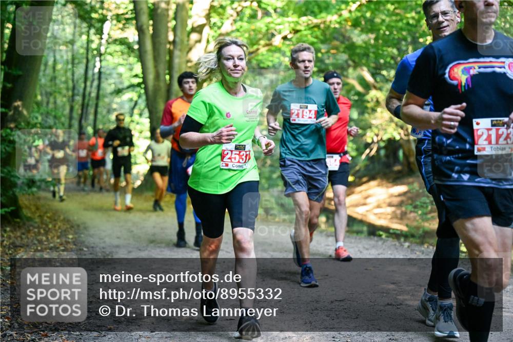 28.09.2025 - 33. Volkslauf durch das schöne Alstertal Dr. Thomas Lammeyer http://msf.ph/oto/8955332 28.09.2025 10:41:20 Laufen 253, 00, 2194, 2123 meine-sportfotos.de