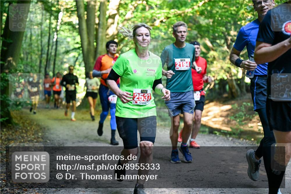 28.09.2025 - 33. Volkslauf durch das schöne Alstertal Dr. Thomas Lammeyer http://msf.ph/oto/8955333 28.09.2025 10:41:20 Laufen 2194, 2537 meine-sportfotos.de