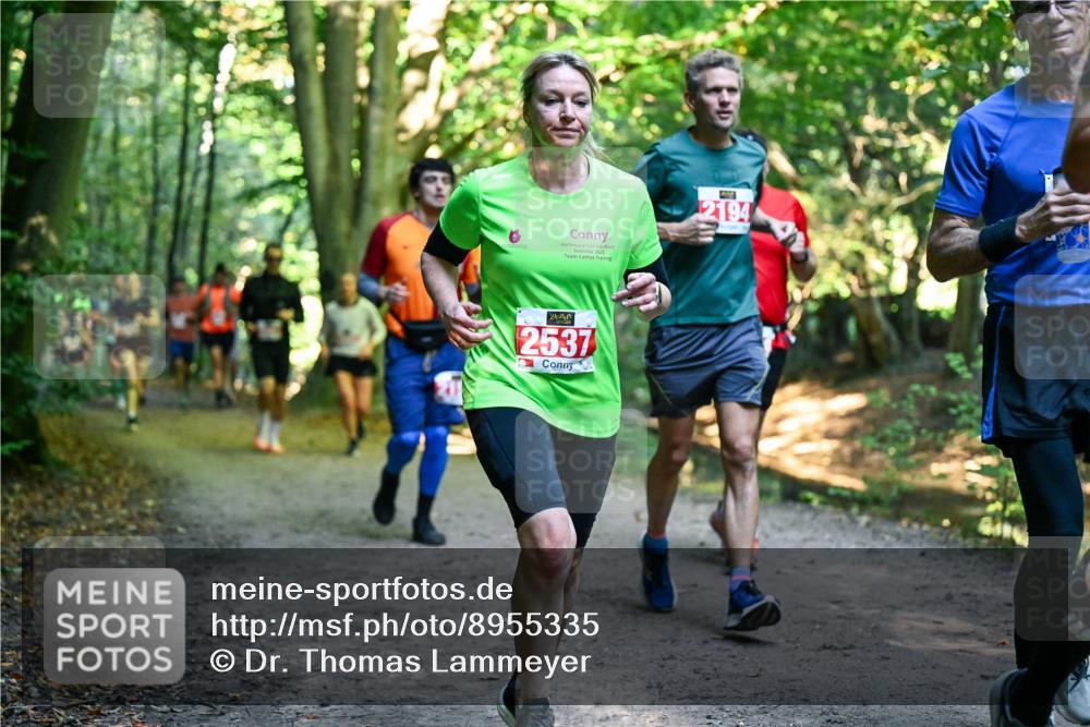 28.09.2025 - 33. Volkslauf durch das schöne Alstertal Dr. Thomas Lammeyer http://msf.ph/oto/8955335 28.09.2025 10:41:20 Laufen 2025, 2537, 2194 meine-sportfotos.de