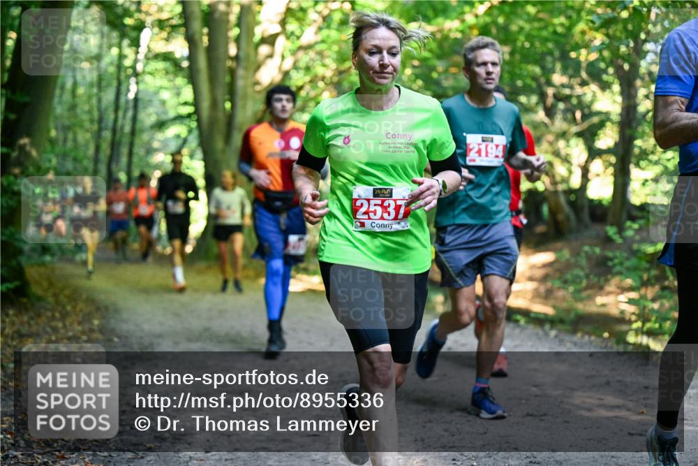 28.09.2025 - 33. Volkslauf durch das schöne Alstertal Dr. Thomas Lammeyer http://msf.ph/oto/8955336 28.09.2025 10:41:20 Laufen 2025, 2537, 2194 meine-sportfotos.de