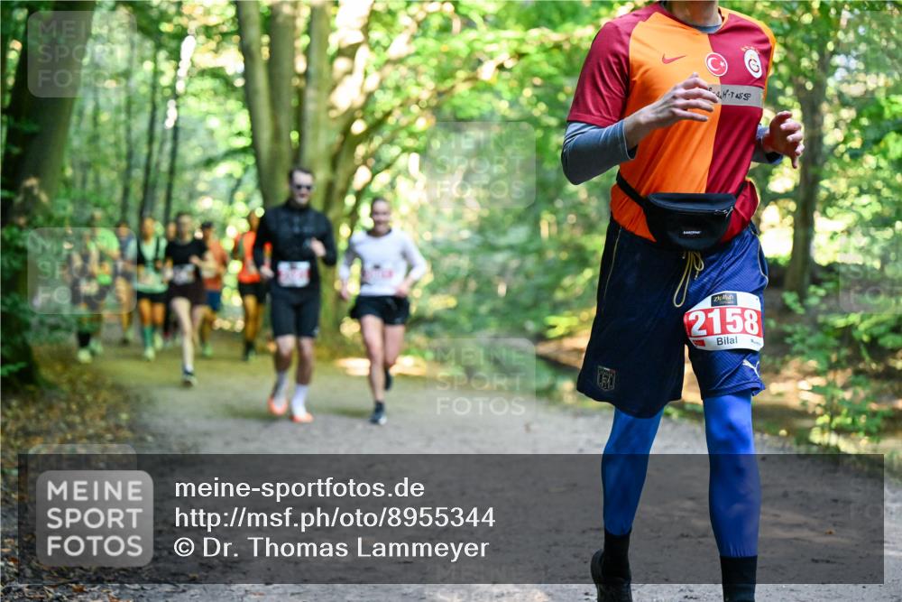 28.09.2025 - 33. Volkslauf durch das schöne Alstertal Dr. Thomas Lammeyer http://msf.ph/oto/8955344 28.09.2025 10:41:22 Laufen 4, 7455, 2158 meine-sportfotos.de