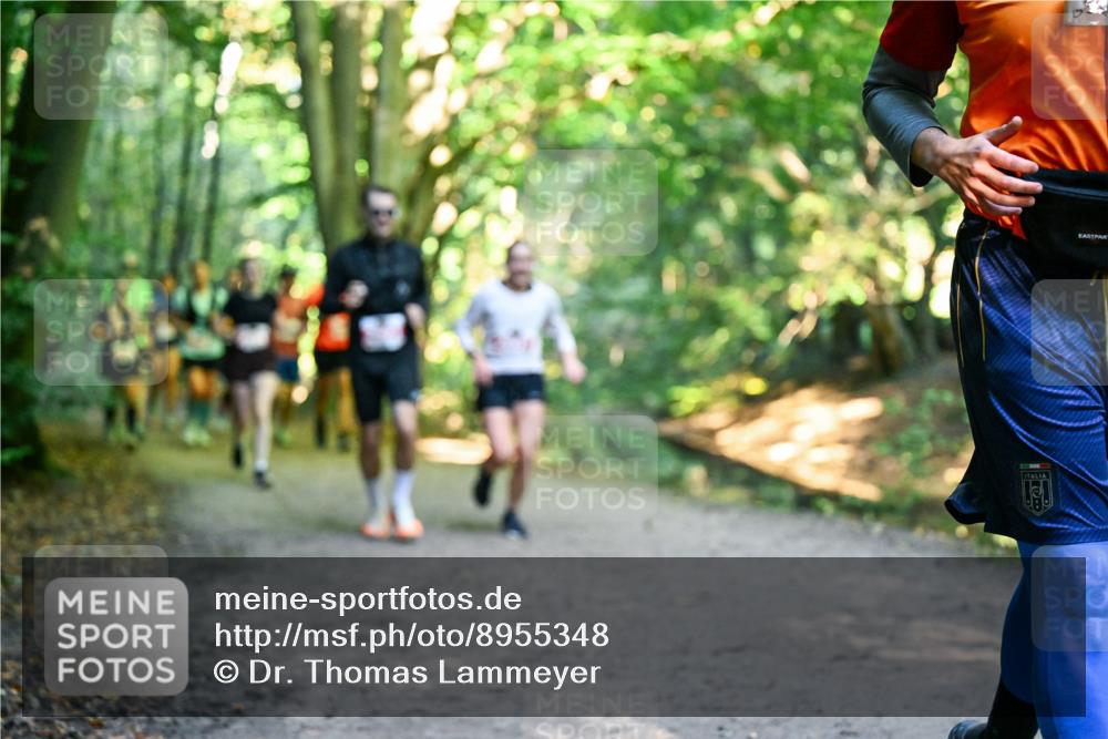 28.09.2025 - 33. Volkslauf durch das schöne Alstertal Dr. Thomas Lammeyer http://msf.ph/oto/8955348 28.09.2025 10:41:23 Laufen  meine-sportfotos.de