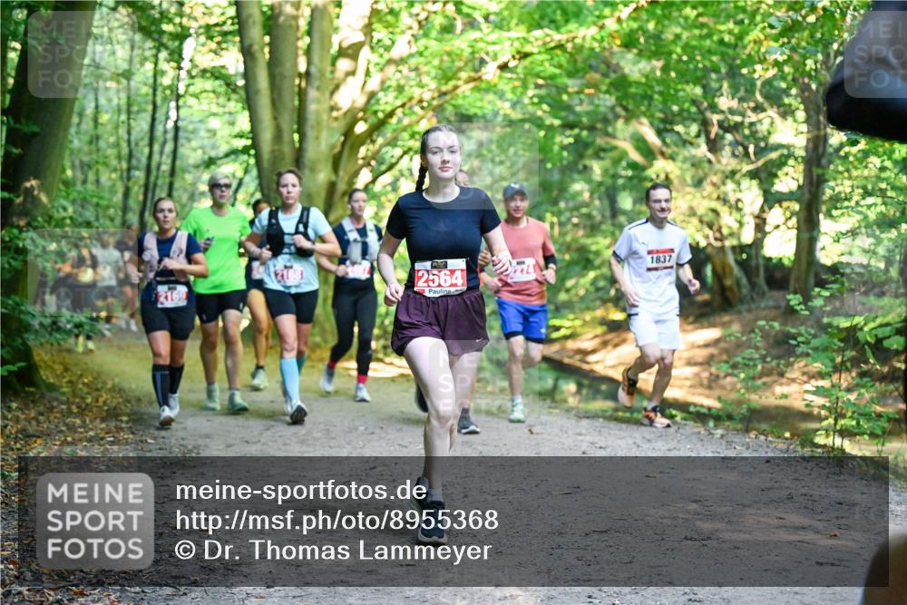 28.09.2025 - 33. Volkslauf durch das schöne Alstertal Dr. Thomas Lammeyer http://msf.ph/oto/8955368 28.09.2025 10:41:26 Laufen 2169, 2564, 1837 meine-sportfotos.de