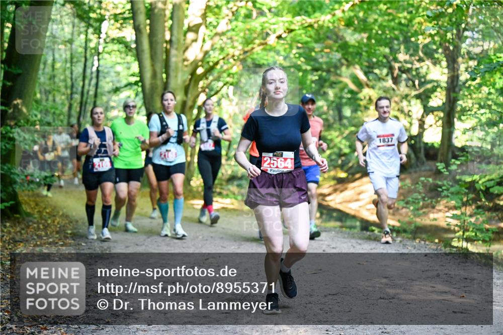 28.09.2025 - 33. Volkslauf durch das schöne Alstertal Dr. Thomas Lammeyer http://msf.ph/oto/8955371 28.09.2025 10:41:26 Laufen 2564, 1837 meine-sportfotos.de