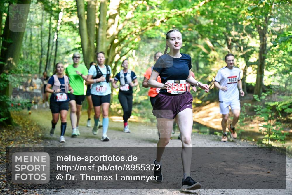 28.09.2025 - 33. Volkslauf durch das schöne Alstertal Dr. Thomas Lammeyer http://msf.ph/oto/8955372 28.09.2025 10:41:26 Laufen 564, 1837 meine-sportfotos.de