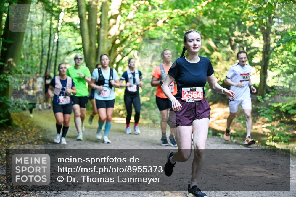28.09.2025 - 33. Volkslauf durch das schöne Alstertal Dr. Thomas Lammeyer http://msf.ph/oto/8955373 28.09.2025 10:41:26 Laufen 2564, 1837 meine-sportfotos.de
