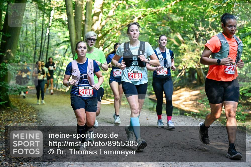 28.09.2025 - 33. Volkslauf durch das schöne Alstertal Dr. Thomas Lammeyer http://msf.ph/oto/8955385 28.09.2025 10:41:28 Laufen 2169, 2467, 2168, 2487, 221 meine-sportfotos.de