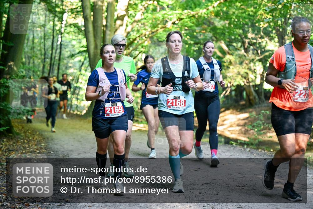 28.09.2025 - 33. Volkslauf durch das schöne Alstertal Dr. Thomas Lammeyer http://msf.ph/oto/8955386 28.09.2025 10:41:28 Laufen 2169, 2168, 227 meine-sportfotos.de