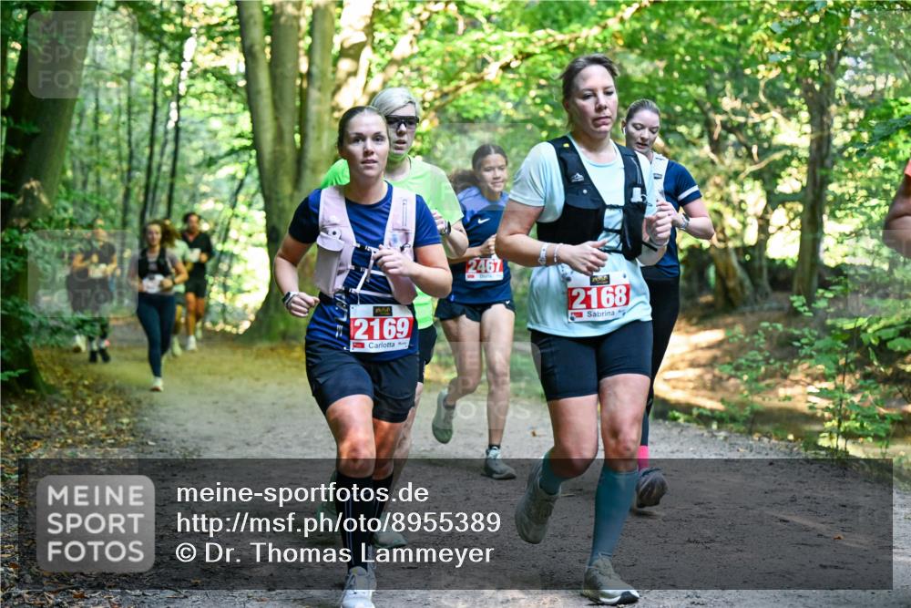 28.09.2025 - 33. Volkslauf durch das schöne Alstertal Dr. Thomas Lammeyer http://msf.ph/oto/8955389 28.09.2025 10:41:29 Laufen 2169, 2467, 2168 meine-sportfotos.de