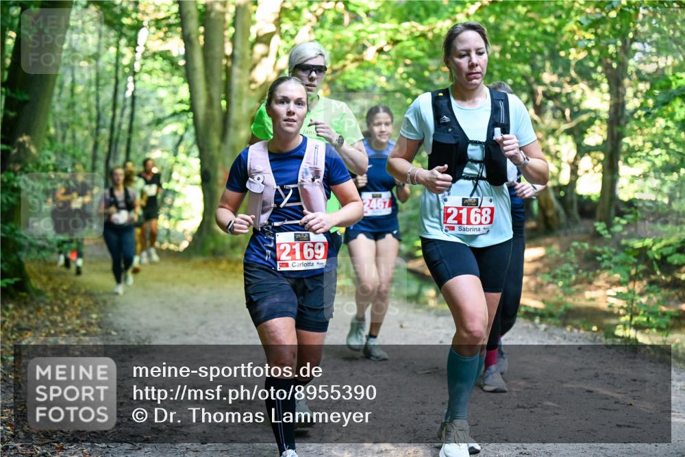 28.09.2025 - 33. Volkslauf durch das schöne Alstertal Dr. Thomas Lammeyer http://msf.ph/oto/8955390 28.09.2025 10:41:29 Laufen 2169, 2467, 2168 meine-sportfotos.de