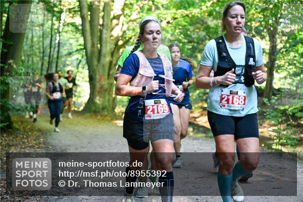 28.09.2025 - 33. Volkslauf durch das schöne Alstertal Dr. Thomas Lammeyer http://msf.ph/oto/8955392 28.09.2025 10:41:29 Laufen 7, 2169, 2168 meine-sportfotos.de