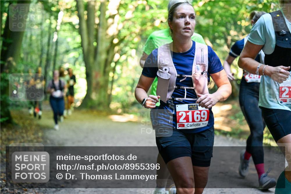 28.09.2025 - 33. Volkslauf durch das schöne Alstertal Dr. Thomas Lammeyer http://msf.ph/oto/8955396 28.09.2025 10:41:29 Laufen 2169, 12 meine-sportfotos.de