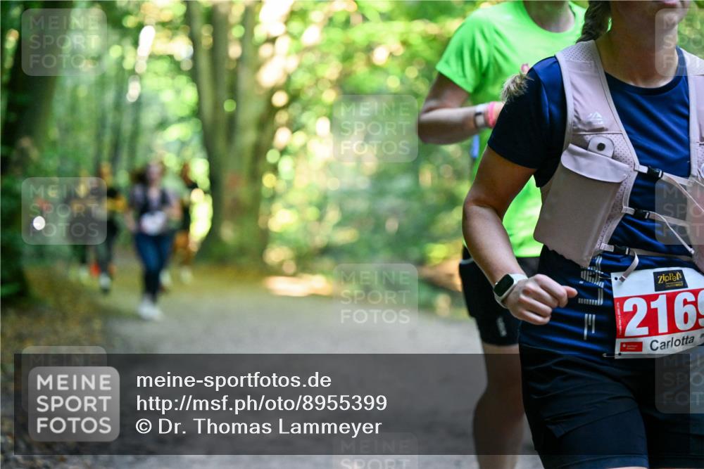 28.09.2025 - 33. Volkslauf durch das schöne Alstertal Dr. Thomas Lammeyer http://msf.ph/oto/8955399 28.09.2025 10:41:30 Laufen 2169 meine-sportfotos.de