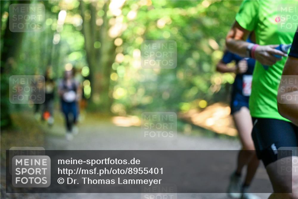 28.09.2025 - 33. Volkslauf durch das schöne Alstertal Dr. Thomas Lammeyer http://msf.ph/oto/8955401 28.09.2025 10:41:30 Laufen  meine-sportfotos.de
