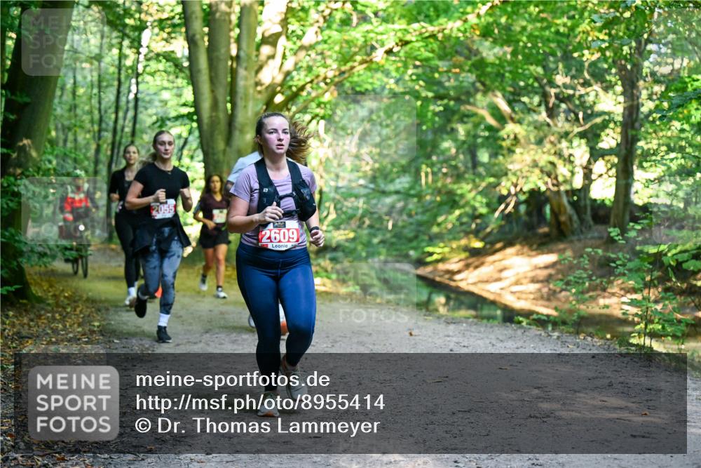 28.09.2025 - 33. Volkslauf durch das schöne Alstertal Dr. Thomas Lammeyer http://msf.ph/oto/8955414 28.09.2025 10:41:32 Laufen 2055, 2609 meine-sportfotos.de