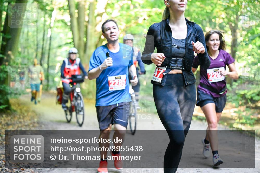 28.09.2025 - 33. Volkslauf durch das schöne Alstertal Dr. Thomas Lammeyer http://msf.ph/oto/8955438 28.09.2025 10:41:37 Laufen 2285, 47, 228 meine-sportfotos.de