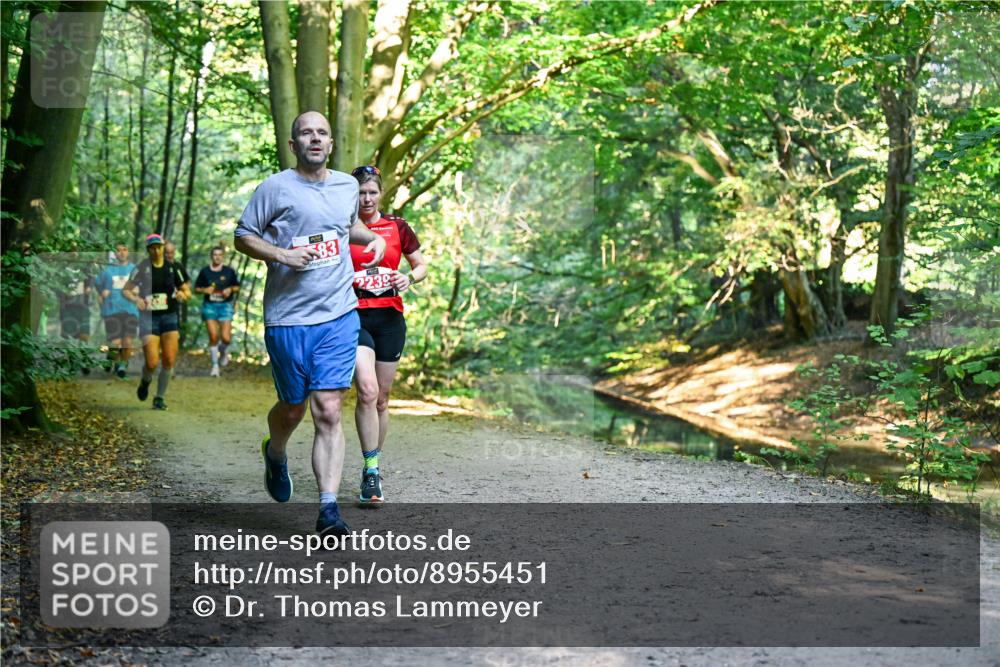 28.09.2025 - 33. Volkslauf durch das schöne Alstertal Dr. Thomas Lammeyer http://msf.ph/oto/8955451 28.09.2025 10:41:41 Laufen 83, 2239 meine-sportfotos.de
