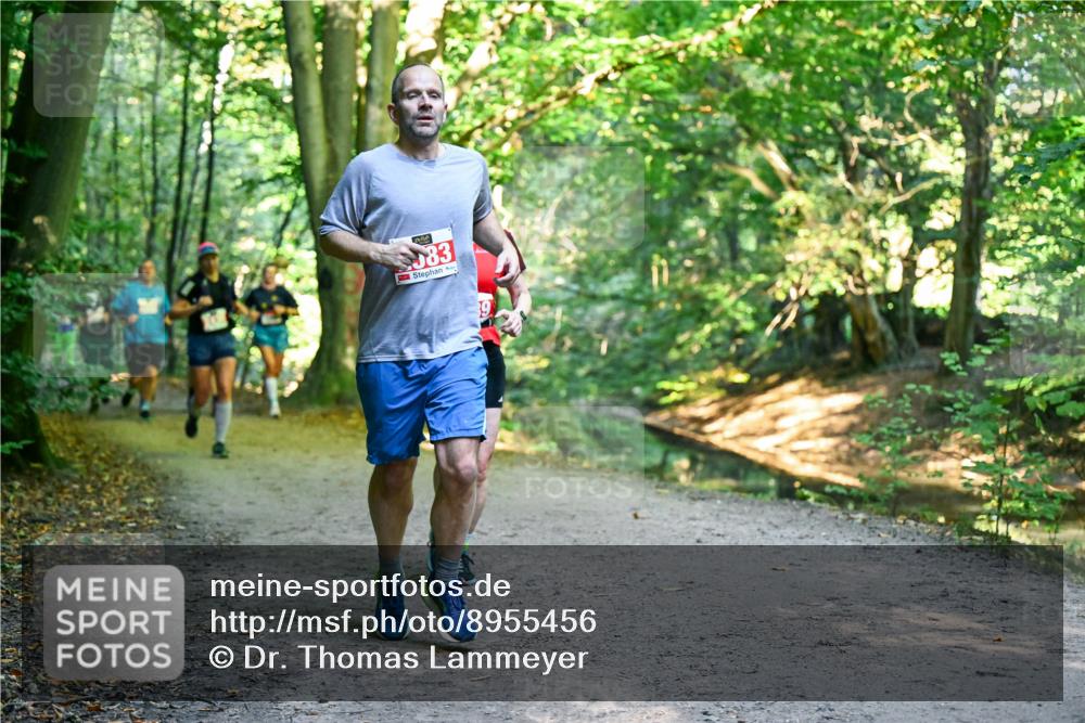 28.09.2025 - 33. Volkslauf durch das schöne Alstertal Dr. Thomas Lammeyer http://msf.ph/oto/8955456 28.09.2025 10:41:42 Laufen 83 meine-sportfotos.de