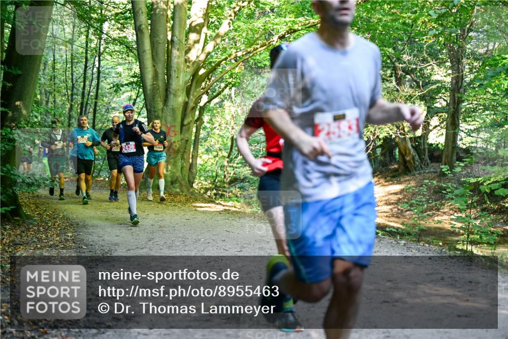 28.09.2025 - 33. Volkslauf durch das schöne Alstertal Dr. Thomas Lammeyer http://msf.ph/oto/8955463 28.09.2025 10:41:43 Laufen 2042, 04, 2436, 1068 meine-sportfotos.de