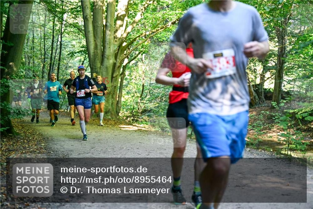 28.09.2025 - 33. Volkslauf durch das schöne Alstertal Dr. Thomas Lammeyer http://msf.ph/oto/8955464 28.09.2025 10:41:43 Laufen 2096, 2042, 2436, 068 meine-sportfotos.de