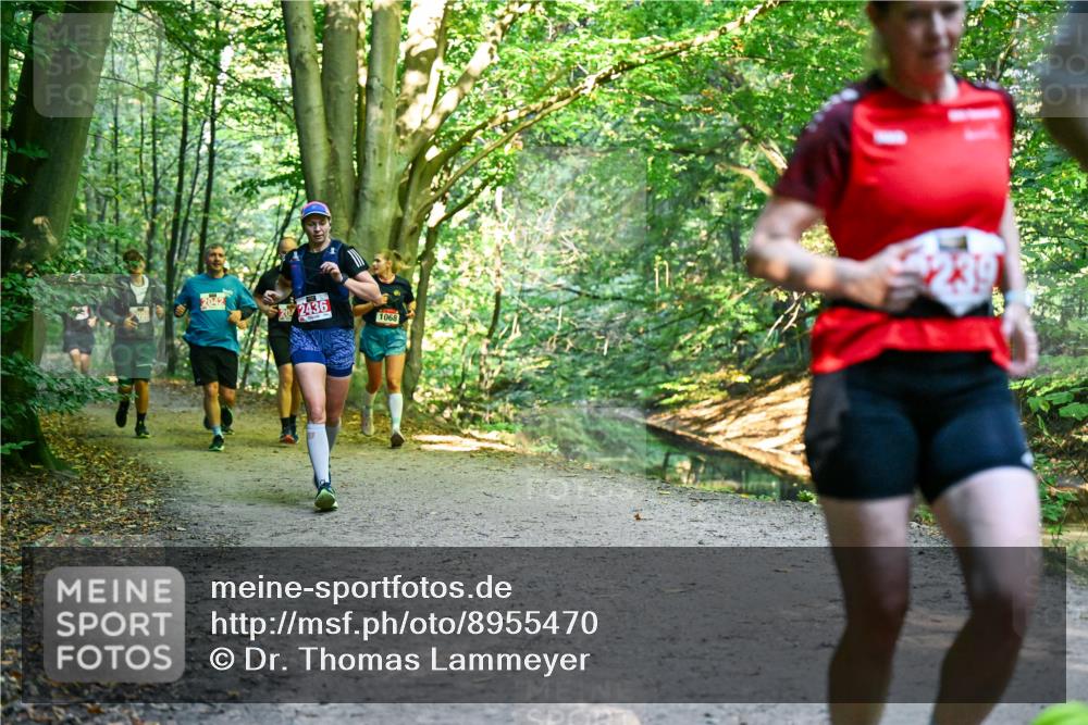 28.09.2025 - 33. Volkslauf durch das schöne Alstertal Dr. Thomas Lammeyer http://msf.ph/oto/8955470 28.09.2025 10:41:44 Laufen 2042, 2436, 1068 meine-sportfotos.de