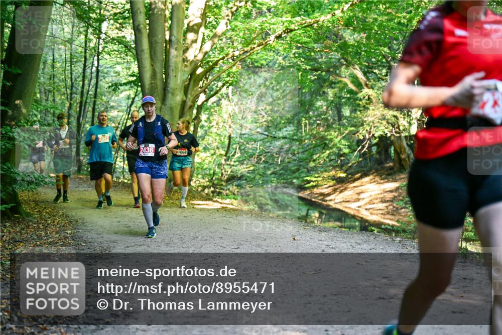 28.09.2025 - 33. Volkslauf durch das schöne Alstertal Dr. Thomas Lammeyer http://msf.ph/oto/8955471 28.09.2025 10:41:44 Laufen 2042, 2436, 1068 meine-sportfotos.de
