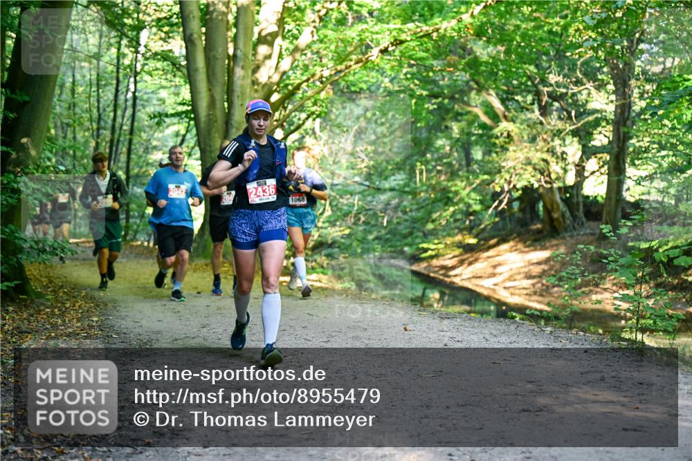 28.09.2025 - 33. Volkslauf durch das schöne Alstertal Dr. Thomas Lammeyer http://msf.ph/oto/8955479 28.09.2025 10:41:45 Laufen 2436, 1068 meine-sportfotos.de