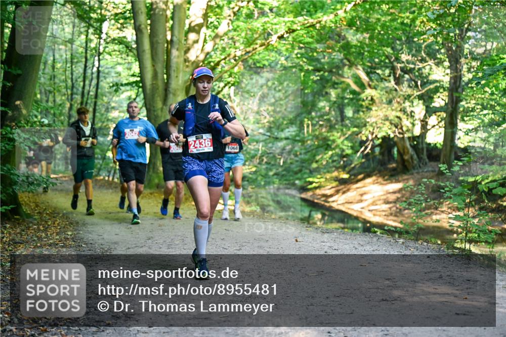 28.09.2025 - 33. Volkslauf durch das schöne Alstertal Dr. Thomas Lammeyer http://msf.ph/oto/8955481 28.09.2025 10:41:45 Laufen 204, 2436, 1068 meine-sportfotos.de