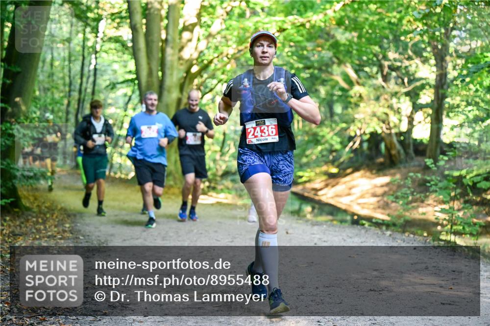 28.09.2025 - 33. Volkslauf durch das schöne Alstertal Dr. Thomas Lammeyer http://msf.ph/oto/8955488 28.09.2025 10:41:46 Laufen 2436 meine-sportfotos.de