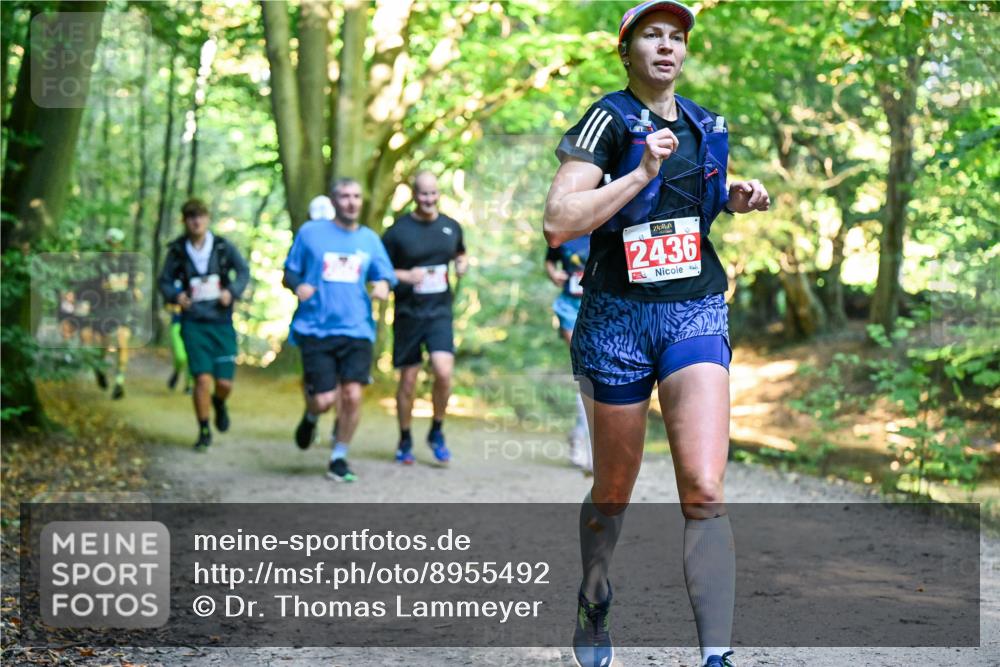 28.09.2025 - 33. Volkslauf durch das schöne Alstertal Dr. Thomas Lammeyer http://msf.ph/oto/8955492 28.09.2025 10:41:46 Laufen 2436 meine-sportfotos.de