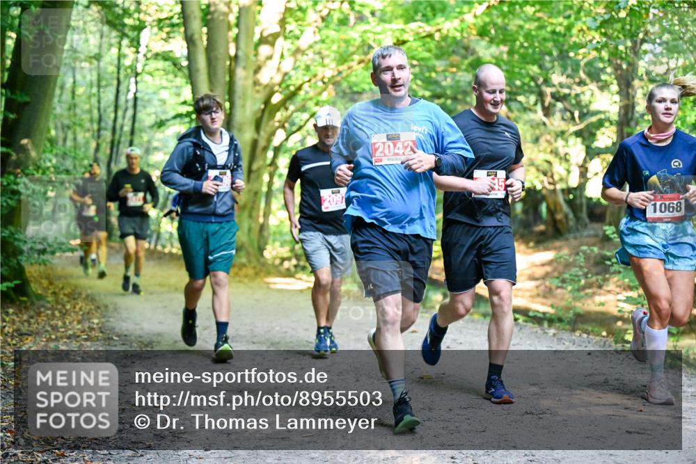 28.09.2025 - 33. Volkslauf durch das schöne Alstertal Dr. Thomas Lammeyer http://msf.ph/oto/8955503 28.09.2025 10:41:48 Laufen 209, 2042, 45, 1068 meine-sportfotos.de