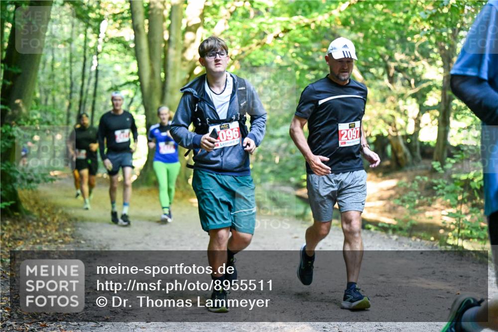 28.09.2025 - 33. Volkslauf durch das schöne Alstertal Dr. Thomas Lammeyer http://msf.ph/oto/8955511 28.09.2025 10:41:49 Laufen 096, 2097 meine-sportfotos.de