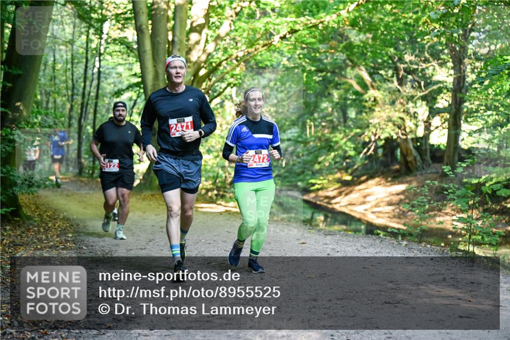28.09.2025 - 33. Volkslauf durch das schöne Alstertal Dr. Thomas Lammeyer http://msf.ph/oto/8955525 28.09.2025 10:41:51 Laufen 122, 2471, 2472 meine-sportfotos.de